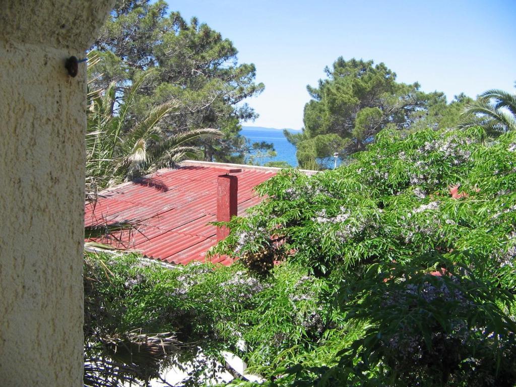 ויר Apartments Palma מראה חיצוני תמונה