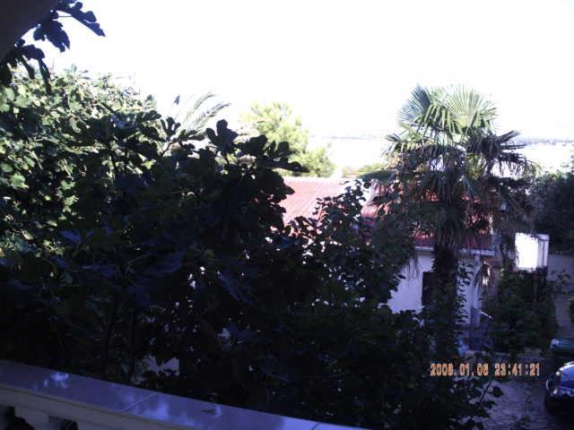 ויר Apartments Palma מראה חיצוני תמונה